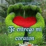 Walter R Jimenez Vargas - @walterrobert.jimenezvargas - Instagram