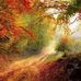Walter Robert - Facebook