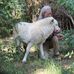 Walter Roessler - Facebook