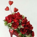 Rollins Walter - @rollins.walter.14 - Instagram