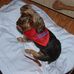 Walter Rountree - Facebook