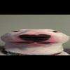 Walter - @widewalter - TikTok