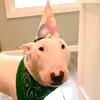 royalwalter - @royalwalter - TikTok