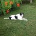 Walter Ruff - Facebook