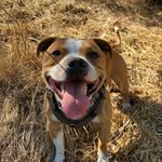 @walter_ruffus - Instagram