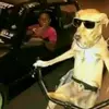 waltervargasalmon - @waltervargasalmon - TikTok