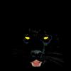 Walter ولتىر - @walterschatz - TikTok