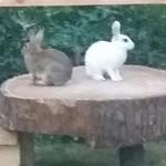 Walter Scheffler - @scheffler.walter - Instagram