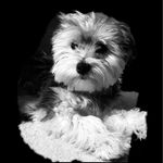 Walter Schimpf - @myman_walter - Instagram