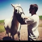Walter Schoenfeld - @schoenfeldwalter - Instagram