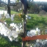 @walterschoeninger - Instagram