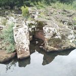 Walter Schultz - @walterschultz9 - Instagram