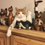 Walter Schweiger - @schweiger_walter - Instagram