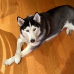 Walter Schweigert - @walterschweigert - Instagram