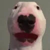 Walter do be thiccc - @walterseescake - TikTok