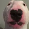 walterseesyou - @walterseesyou - TikTok