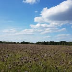 Valera - @seilerwalter60 - Instagram