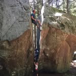 Walter Seiler Junior - @seilerjunior - Instagram