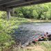 Walter Sheets Bridge - Facebook