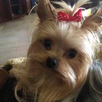 Walter-Julie Shivers - @walterjulieshivers - Instagram