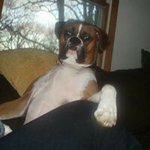 Walter Shivers - @duck_duck_guy - Instagram