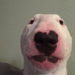 short walter - @short_hairy_walter - Instagram