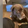 Walter Short - @walter.short5 - TikTok