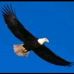 Walter Slusser - Facebook