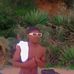 Walter Smith - Facebook