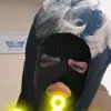 Walter Smith - @walter.smith781 - TikTok