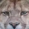 Walter Spearman - @user04367428 - TikTok