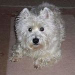 Walter Ursula Stampp - @stamppwalterursula - Instagram
