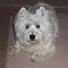 walterursulastamp - @walterursulastamp - TikTok