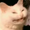 Walter Stein - @walterstein640 - TikTok