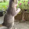 Walter Stein - @walter.stein4 - TikTok