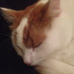 Walter Stein - @walter.stein.397 - Instagram