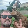 Walter.luiz.stein@gmail.com - @walterstein610 - TikTok