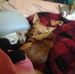 Walter Stiles - Facebook