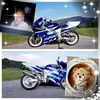 walterstocker603 - @walterstocker603 - TikTok