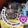Walter Strack975 - @walterstrack975 - TikTok