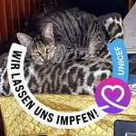 Walter Strack - @strackwalter - Instagram