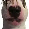 WALTER STRONG - @walterwr1d - TikTok