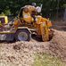 Walter fleenor stump removal - Facebook