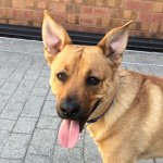 Walter Woodford Stump - @walterthegr8 - Instagram