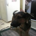 Walter Sumner - @walter.sumner - Instagram