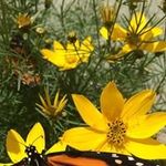Walter Swartzfager - @walterswartzfager - Instagram