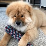 Walter Tan - @walter.tan.338 - Instagram