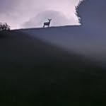 Walter Tantardini - @waltertantardini - Instagram