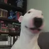 Walter Walter Walter - @walter.stan - TikTok