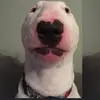 Obs za obs - @walterteame - TikTok